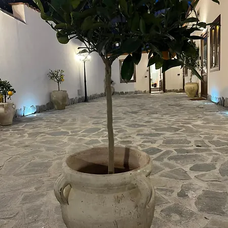 Cedros Apartment Palermo